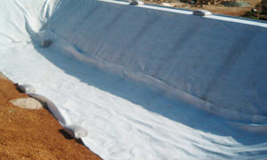 SYS Piscine biodesign step 02